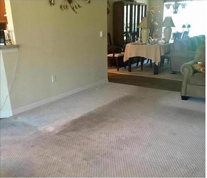 Living room carpet flooded from leaking pipe