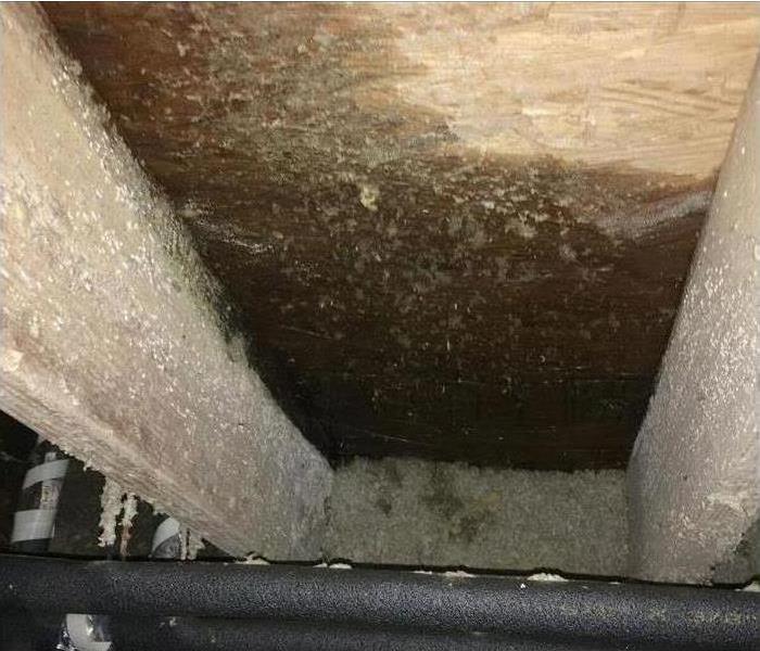 Water Damage Inside Crawlspace