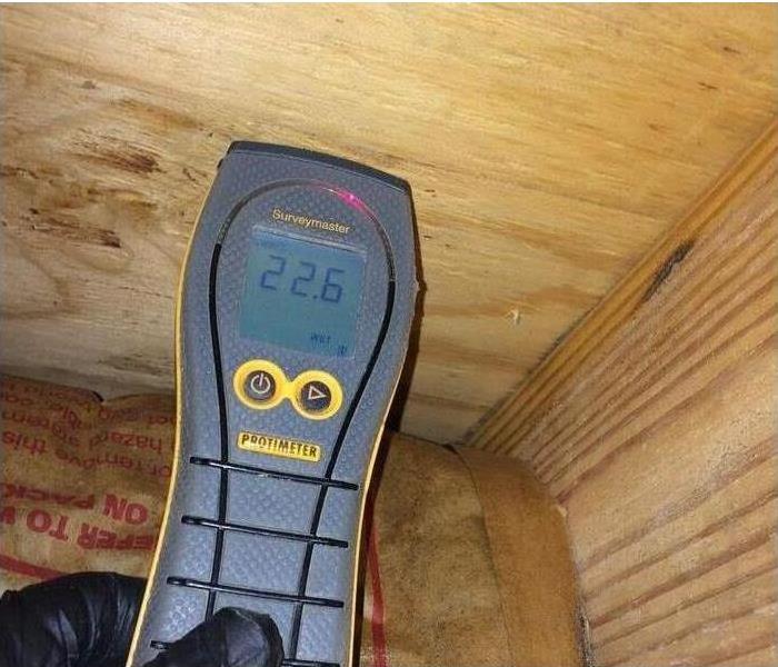 Picture of a Moisture Meter