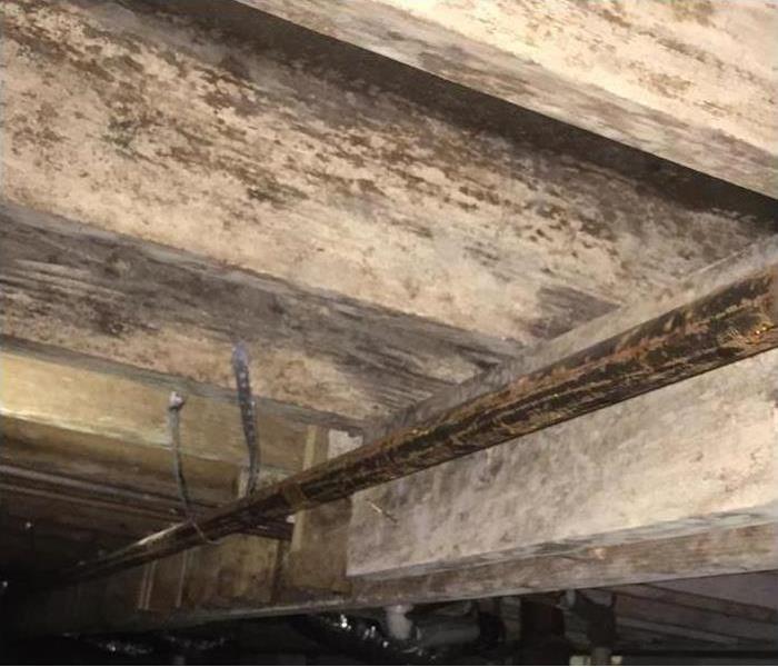 Mold can be seen in this crawlspace 
